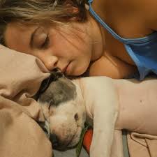 Qu'est-ce qui cause la perte de poils sur mon pit et comment le soigner ??  Svp moi et snoop vous remercions 🫡