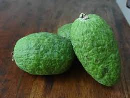 Image result for Feijoa