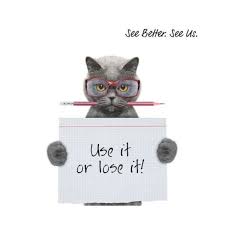 it s that time of year again take advantage of your health fund benefits by booking your next eye examination with us cat day cat life cat lovers