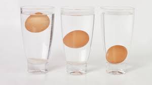science explains why rotten eggs float