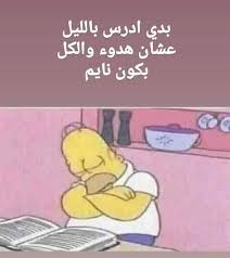 Pin By Rhb1991 On Funny Memes Funny Memes Quotations Funny