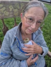 New duck mama shares experience and loss