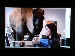 Hump day camel images to celebrate. Cmgus Vcr Classic Commercials Geico Best Camel Hump Day Guess What Day It Is Today Happy Wednesday Youtube