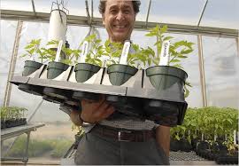 Check spelling or type a new query. Rutgers Helps Revive Ramapo The Tomato That Is The New York Times