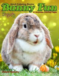Coloring pages spring funny bee and. Amazon Com Adult Coloring Books Bunny Fun 48 Grayscale Coloring Pages Beautiful Grayscale Coloring Pages Of Real Bunnies Being Cute And Adorable Figurines Of Rabbits 9781728990187 Hawthorne Kimberly Books