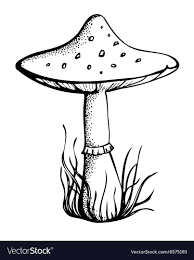 Black And White Mushroom Black And White Mushroom Vector Image On Vectorstock In 2020 Mushroom Drawing Black Pen Drawing Black And White Illustration