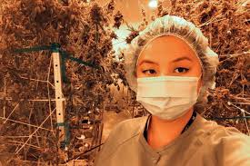 How Fuqua Helped Prepare Me for a Career in Cannabis