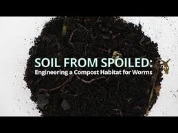 We did not find results for: Soil From Spoiled Engineering A Compost Habitat For Worms Activity Teachengineering