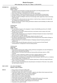 A vice president's role starts with the fundamental job responsibilities of a manager. Vp Finance Resume Samples Velvet Jobs
