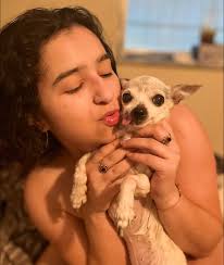 Remembering a beloved pet chihuahua