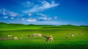 呼伦贝尔大草原，内蒙古草原风光最为绚丽的地方– Big Kuala Lumpur 大吉隆坡