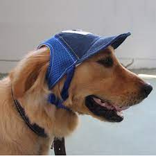 Follure Breathable Baseball Dog Caps Pet Dog Hats Large Dogs Sports Sun Hats Walmart Com In 2021 Dog Hat Sporting Dogs Sun Dogs