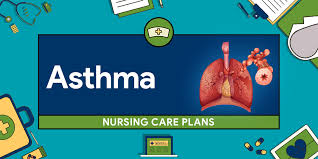 The nursing process involves the implementation of cognitive and operational skills across five phases Nursing Diagnosis For Asthma 8 Nursing Care Plans Nurseslabs