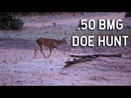 A Missed Shot From A 50 Bmg Still Kills A Deer Find the perfect deer headshot stock photos and editorial news pictures from getty images. missed shot from a 50 bmg still kills