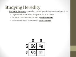 Unit 3 Growth And Heredity Ppt Video Online Download