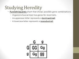 unit 3 growth and heredity ppt video online download