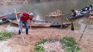 Maybe you would like to learn more about one of these? Malay Tradition Tradisi Menuba Ikan Di Sungai Ikan Monster Tapah Toman Baung Kelabau Youtube