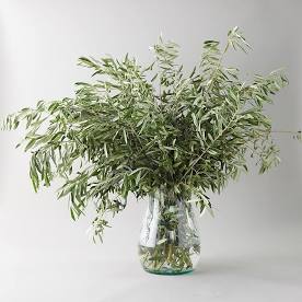 1. Greenery - Which is your favorite type of greens?
