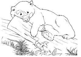 Bilder zum ausmalen ausmalbilder fensterbilder window. Ausmalbilder Tiere 16 Ausmalbilder Und Basteln Mit Kindern Ausmalbilder Tiere Malvorlagen Tiere Ausmalbilder