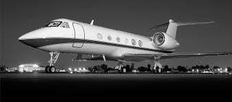 Image result for Gray 1988 Fleet