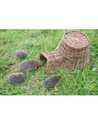 Abri Pour Herisson En Osier 53x21x41cm Abri Herisson Maison Herisson Et Decoration Jardin