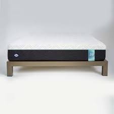Baneberry Queen Daybed Firm Memory Foam Mattress Mattress Foam Mattress