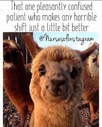 Nurse Jade On Instagram I Love My Pleasantly Psychotic Patients Follownursejade Follow Rn Baby Animals Funny Funny Babies Animals