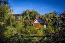 Green village resort, sfântu gheorghe, tulcea. Green Village Resort Sfantu Gheorghe Aktualisierte Preise Fur 2021
