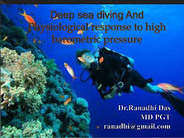 Deep Sea Diving And Physiological Response To High