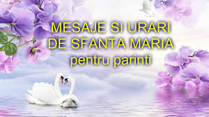Fie că odată cu trecerea anilor frumusețea ta să rămână intactă, ochii tăi să fie plini de strălucire ca și până acum. Urari De Sf Maria Pentru Parinti La Multi Ani Youtube