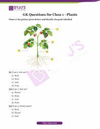 Quiz general knowledge questions for class 2. Questions About Plants For Class 1 Kids Download Printable Pdf
