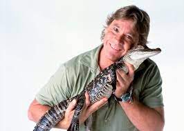 Check spelling or type a new query. Celebrate Steve Irwin Day On November 15 Dnews Discovery