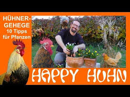 E92 Den Huhnerauslauf Bepflanzen 10 Pflanzentipps Happy Huhn Huhnergehege Grun Halten Robert Hock Youtube Huhner Auslauf Huhnerauslauf Huhnergehege