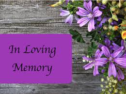 I grew up in america and lost family members down the conspiracy rabbit hole. Family Friends And The Racing Community Remembering Worker Who Died At Bradenton Motorsports Park Event Opera News
