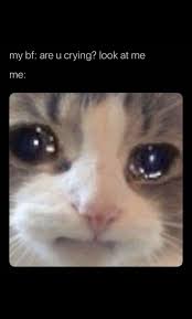 Pin By Nancyj On Uploads Fishing Memes Memes Funny Memes