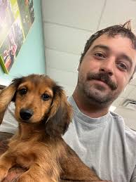 Female dog I have her at my house is this anyone's dog? She looks pregnant  or just had a litter