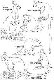 Printable australian flag to colour. Australia Animals Australian Animals Australian Native Animals