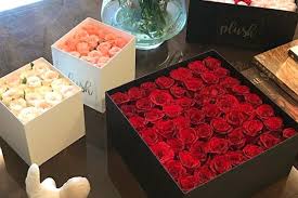 We did not find results for: Order Luxury Roses In A Box From Plush Lbb Bangalore