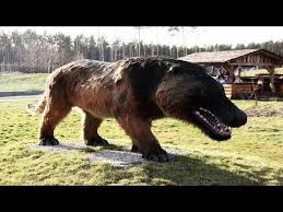 Nesli Tukendigi Icin Sansli Oldugumuz 10 Hayvan Youtube 2020 Hayvan Megalodon Hayvanlar