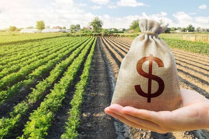 بهترین مناطق برای خرید زمین در شمال-3 