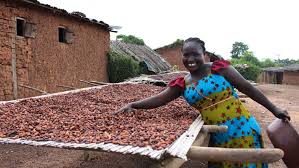 Chinesische rakete fällt zurück zur erde. Kakao Bringt Bauern In Der Elfenbeinkuste Kein Existenzminimum Evangelisch De