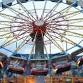 Volusia County Fair & Youth Show event image