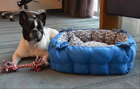 Discover the best dog beds in best sellers. Why Can T Chinese Hotels Let Sleeping Dogs Lie Demand Grows For Pet Friendly Hotels South China Morning Post