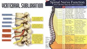 Is Subluxation Really A New And Accurate Diagnosis Blog