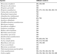 Image result for Morinda asteroscepa