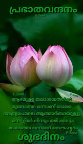 Pin By Eron On Good Morning Malayalam Good Morning Quotes Morning Quotes Good Morning Picture