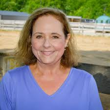 What are some good cat grooming services in Bay View?