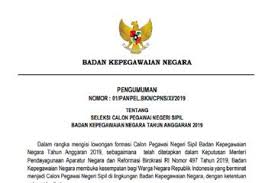 Nah yang unik tahun ini twk disisipkan soal bahasa indonesia. Resmi Bkn Umumkan Syarat Pendaftaran Cpns 2019 Serta Dokumen Yang Diunggah Di Laman Sscasn