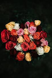 Send flowers from a real salem, nh local florist. 60 000 Best Bouquet Of Flowers Photos 100 Free Download Pexels Stock Photos