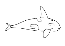 30 frisch ausmalbilder tiere im wasser ausdrucken vorlagen fur listen to do liste zum ausdrucken kostenlos good idea for an orca tattoo merken 49 sammlungen von bilder klein ausdrucken warofindependence kinderzimmer deko wal 87 ausmalbilder von my little pony 10 peppa wutz malvorlage fotos neu ausmalbilder cro wallpaper inspirierend wal bilder. Malvorlagen Fische Delfine Wale Lustige Ausmalbilder Fisch Delfin Wal